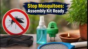 Beat the Monsoon: World Mosquito Day 2026 Assembly Kit, GK Quiz, and Prevention Tips