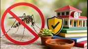 World Mosquito Day 2026: Vital Dengue Prevention Tips for Safer Schools