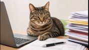CAT 2026 Registration: Crucial Tips to Avoid Last-Minute Rejection Before September 22