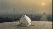 Delhi Air Crisis: Stop Believing WhatsApp Myths—Here’s How to Actually Protect Your Family