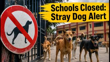 Chamoli Schools Closed Due To Stray Dogs