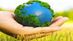 World Environment Day 2026: Theme, Significance, Recycling Tips & How to Protect the Planet