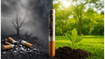 World No Tobacco Day 2026: The Hidden Truths Every Student Must Know to Stay Safe