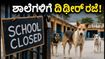 ಚಮೋಲಿ: ಬೀದಿ ನಾಯಿಗಳ ಕಾಟ, ನಾರಾಯಣಬಗರ್‌ನ 10 ಶಾಲೆಗಳಿಗೆ ದಿಢೀರ್ ರಜೆ ಘೋಷಣೆ!
