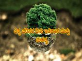 World Environment Day 2021: ಈ ದಿನದ ಥೀಮ್, ಇತಿಹಾಸ ಮತ್ತು ಮಹತ್ವ ತಿಳಿದಿದ್ದೀರಾ !