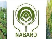 NABARD Prelims Admit Card 2021 : ಪ್ರವೇಶ ಪತ್ರ ಡೌನ್ಲೋಡ್ ಮಾಡುವುದು ಹೇಗೆ ? NABARD Prelims Admit Card 2021 : ಪ್ರವೇಶ ಪತ್ರ ಡೌನ್ಲೋಡ್ ಮಾಡುವುದು ಹೇಗೆ ?