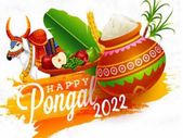 Essay On Pongal Festival In Kannada : ಪೊಂಗಲ್ ಹಬ್ಬದ ಬಗ್ಗೆ ಪ್ರಬಂಧ ಬರೆಯುವುದು ಹೇಗೆ ? ಇಲ್ಲಿದೆ ಮಾಹಿತಿ