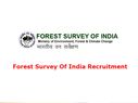 Forest Survey Of India Recruitment: FSI देहरादून में कई पदों पर निकली भर्ती, जानिए आवेदन प्रक्रिया Forest Survey Of India Recruitment: FSI देहरादून में कई पदों पर निकली भर्ती, जानिए आवेदन प्रक्रिया
