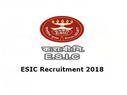 कर्मचारी राज्य बीमा निगम (ESIC) में 771 पदों पर बंपर भर्ती, ऐसे करें आवेदन