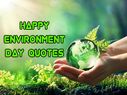World Environment Day Quotes In Hindi 2021: विश्व पर्यावरण दिवस के 15 सबसे बेहतरीन कोट्स, सबको दें शुभकामनाएं