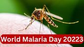 World Malaria Day 2023: जानिए क्यों मनाया जाता है विश्व मलेरिया दिवस? क्या है लक्षण और कैसे बरतें सावधानियां