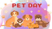 National Pet Day 2023: राष्ट्रीय पालतू दिवस क्यों मनाया जाता है? कैसे हुई इस दिवस की शुरुआत