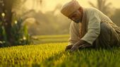National Farmers Day 2024: किसान दिवस पर अन्नदाताओं के भेजें शुभकामनाएं, संदेश, कोट्स और स्टेटस