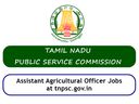 12-வது தேர்ச்சியா? ரூ.65 ஆயிரம் ஊதியத்தில் அரசு வேலை - டிஎன்பிஎஸ்சி!