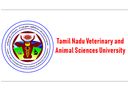 எம்.எஸ்சி பட்டதாரிகளுக்குக் கால்நடை பல்கலையில் வேலை வாய்ப்பு..!