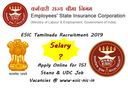 அசத்தும் ஊதியத்துடன் சென்னையிலேயே மத்திய அரசு வேலை..! அசத்தும் ஊதியத்துடன் சென்னையிலேயே மத்திய அரசு வேலை..!