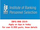 வங்கி பணியாற்ற ஆசையா? ஐபிபிஎஸ் தேர்வு அறிவிப்பு!