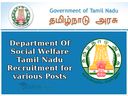 தமிழ்நாடு சமூக நலத்துறையில் வேலை வேண்டுமா? விண்ணப்பிக்கலாம் வாங்க!