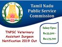 TNPSC Recruitment: ரூ.1.75 லட்சம் ஊதியத்தில் தமிழக அரசு வேலை- டிஎன்பிஎஸ்சி!