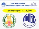 வேலை, வேலை, வேலை.!! ரூ.1.13 லட்சம் ஊதியத்தில் தமிழக மீன்வளத் துறையில் வேலை!