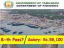 8-வது தேர்ச்சியா? ரூ.58 ஆயிரம் ஊதியத்தில் தமிழக அரசு துறையில் பணியாற்றலாம் வாங்க!
