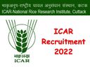 ரூ.42 ஆயிரம் ஊதியத்தில் மத்திய அரசு நிறுவனத்தில் கொட்டிக்கிடக்கும் வேலை வாய்ப்புகள்! ரூ.42 ஆயிரம் ஊதியத்தில் மத்திய அரசு நிறுவனத்தில் கொட்டிக்கிடக்கும் வேலை வாய்ப்புகள்!
