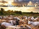 National Livestock Mission (NLM) 2022:ரூ.50 லட்சம் வரை மானியத்தில் ஆடு, கோழி வளர்க்கலாம்...!
