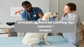 Kanniyakumari Aavin veterinary Consultant Job 2023: குமரி யூத்ஸ்... நாளை உங்க ஊரில் ஆவின் நேர்காணல்...!