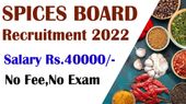 spices board india Executive Recruitment 2023: ரூ.35 ஆயிரம் ஊதியத்தில் எம்.பி.ஏ., பட்டதாரிகளுக்கு பணி ...!