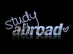 Study abroad designs new search engine with various options