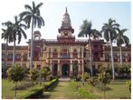 IIT-BHU placed All-India 2nd rank in Google Online Marketing Challenge
