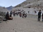 The Ladakh ICH project by National Museum Institute