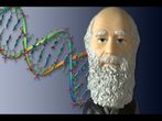 Coursera offers Introduction to Genetics and Evolution online course