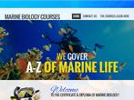 Explore the beauty of blue water by becoming Marine Biologist