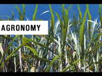 What is Agronomy? - Scope and Career opportunities