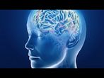The Brain and Space: Online course by Duke University