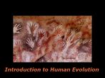 Introduction to Human Evolution: Online course by Wellesley College