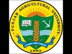 Punjab Agricultural University invites applications for MBA programme