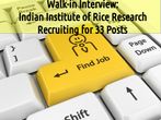 Walk-in Interview: Indian Institute of Rice Research Recruiting