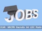 ICAR-NRCPB Invites Application for 04 LDC Posts 2016