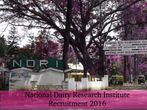NDRI Recruitment for 56 Technicians and Technical Assistant Posts 2016