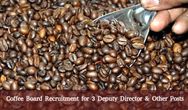 Coffee Board Recruitment for 3 Deputy Director & Other Posts 2016
