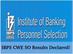 IBPS CWE SO (Specialist Officer) 2016 Results Declared!