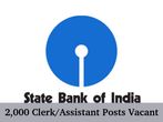 SBI Likely To Hire 2000 Candidates for the post of Clerk/Assistants
