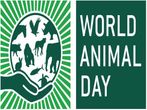 World Animal Day: Career Options for Animal Lovers