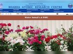 Bhabha Atomic Research Centre Recruitment 2018 For Consultant