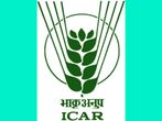ICAR NET (II) Admit Card 2018 Released