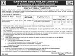 Coal India Limited: Apply Online For 57 Accountants Post In ECL, Earn Up To Rs. 37,063 Per Month