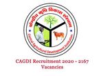 CAGDI Recruitment 2020 For 2,167 Investment Officers And Managers Post, Apply Online Before June 25