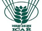 3,705 Posts Vacant For Scientist And Technical Cadre In ICAR: Centre